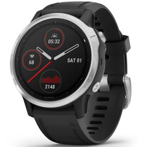 fēnix 6S - Silver with Black Band
