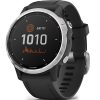 Спортивные часы Garmin Fenix 6S Solar Silver/Black
