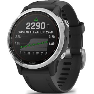 Спортивные часы Garmin Fenix 6S Solar Silver/Black