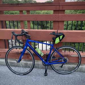 Велосипед Giant Contend 3 Electric Blue/Black