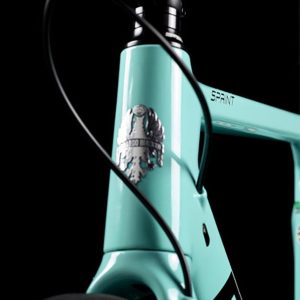 Велосипед Bianchi SPRINT Ultegra 11s Disc CP